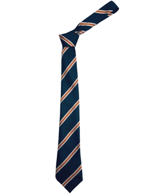 Harris Academy Purley Tie - Orange (Yrs 9-11)